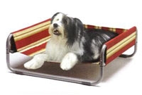 raised dog bed by Sof-Bed with striped canvas over steel frame